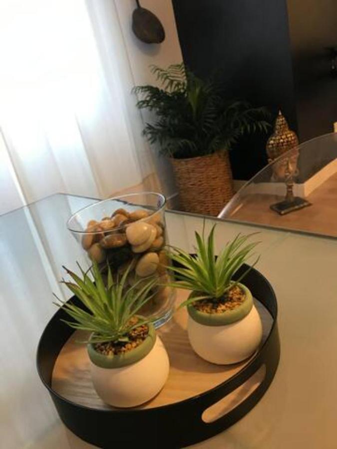 Nuevo En Playa De Canteras